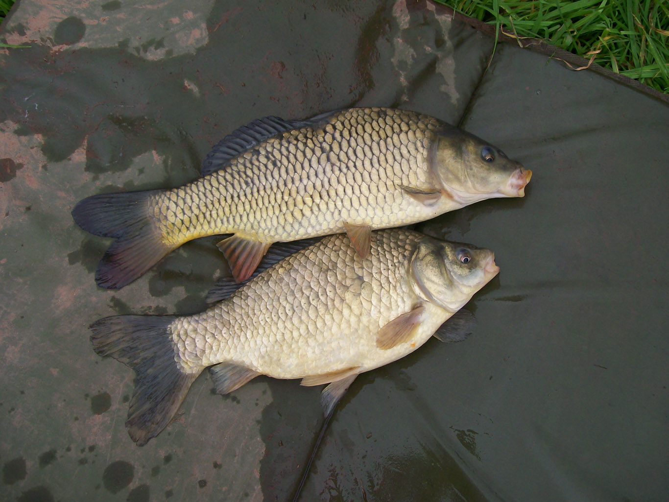 We kindly request that you follow our fishing rules