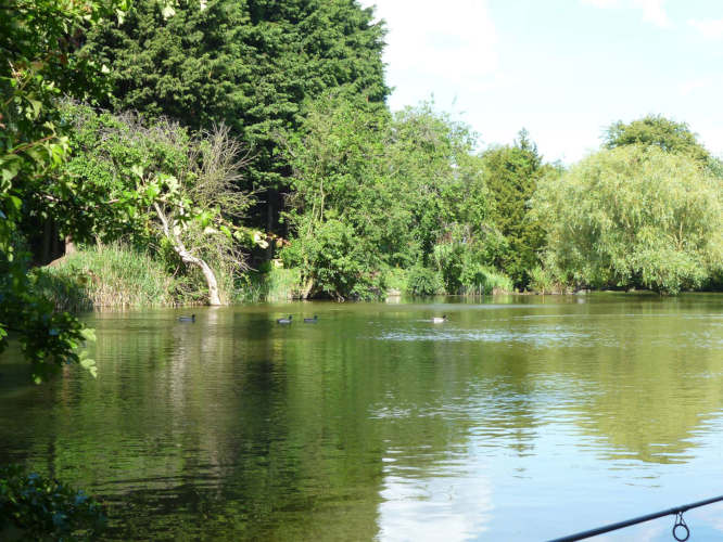 Enjoy fishing holidays or short fishing breaks. This is a picture of our smaller lake that is ideal for beginners.