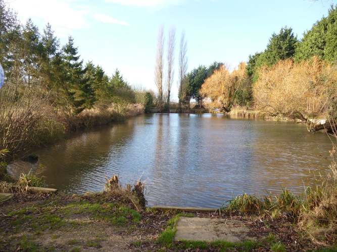 Our one acre 85 year old fishing lake in Boston Lincolnshire.